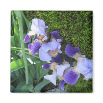 Blue Iris Family2 Magnet