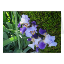 Blue Iris Family Card by tkrysak Blue Iris Family Card