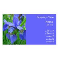 blue iris flowers business card business card