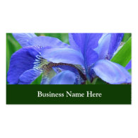 Blue iris flowers business cards