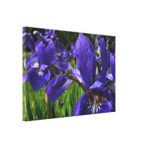 Blue Iris Garden Wrapped Canvas Print