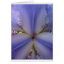 Blue iris heart greeting cards