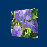 Blue Iris in the Garden on Canvas canvas prints