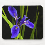 Blue Iris Mousepad