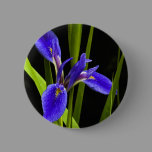 Blue Iris Pin buttons