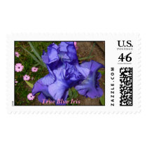 Blue Iris  postage