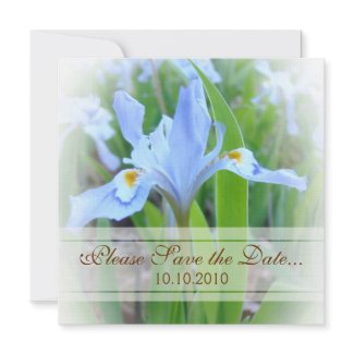 Blue Iris Save-the-date invitation
