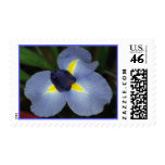 Blue Iris Stamp
