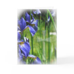 Blue Iris with Cross Card