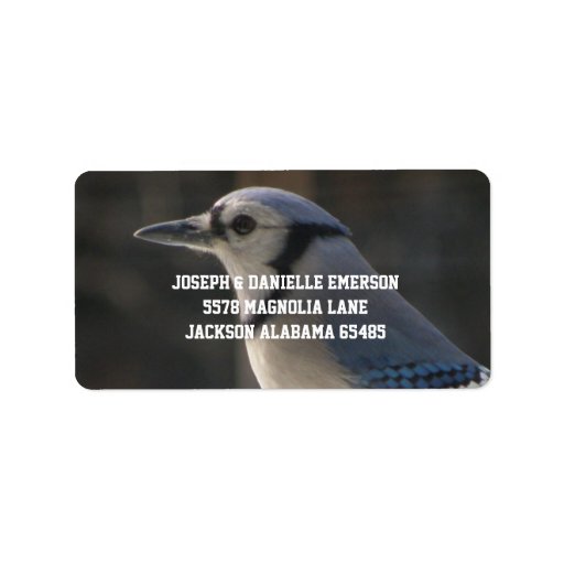 blue mailing labels