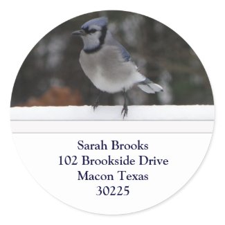 Blue Jay Address Labels Sticker