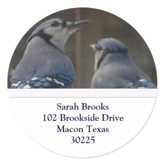 Blue Jay Address Labels Sticker
