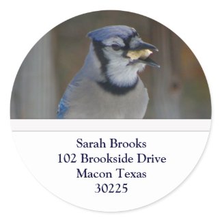 Blue Jay Address Labels Round Stickers