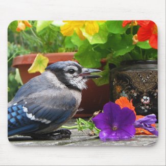 Blue Jay and Flowers Mouse Pad