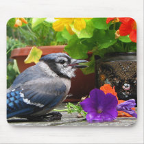 Blue Jay and Flowers Mousepad