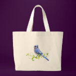 Blue Jay Bird