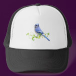 Blue Jay Bird
