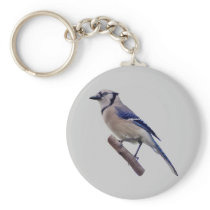 Blue Jay Bird keychains
