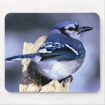 Blue Jay  Bird Lovers mousepads