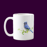 Blue Jay Bird