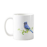 Blue Jay Bird