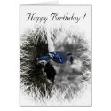 Blue Jay Birthday Card
