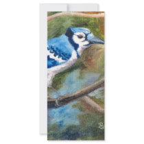 Blue Jay Bookmark rack cards
