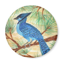 Blue Jay by Wendy C Allen magnets