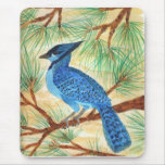 Blue Jay by Wendy C Allen mousepads