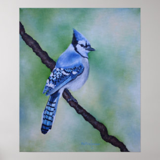 Printable Blue Jays Poster | blue jays posters zazzle Printable Blue Jays Poster | blue jays posters zazzle