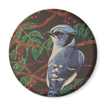 Blue jay Collection magnets