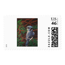 Blue jay Collection postage