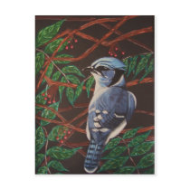 Blue jay Collection postcards