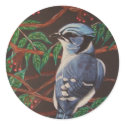 Blue jay Collection stickers