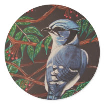 Blue jay Collection stickers by CrookedRiverArt Blue jay Collection stickers