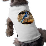 Blue Jay Dog Clothing