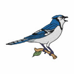 Blue Jay Jacket