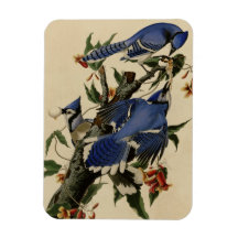 Blue Jay Flexible Magnet