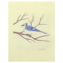 Blue Jay Flyer