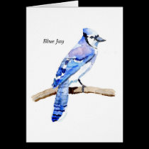 Blue Jay cards