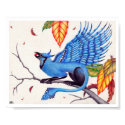 Blue-Jay Gryphon posters by krumm33 Blue-Jay Gryphon posters