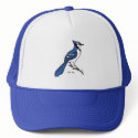 BLUE JAY hat