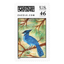 Blue Jay in Maine White Pine by Wendy C. Allen postage by pidgiefund Blue Jay in Maine White Pine by Wendy C. Allen postage