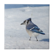 Blue Jay in Snow Ceramic Tile ~ Winter Blues tiles