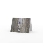 Blue Jay in the Snow Greeting Card