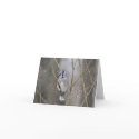 Blue Jay in the Snow cards by onewish1 Blue Jay in the Snow cards