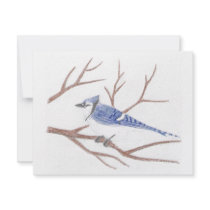 Blue Jay Invitation