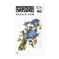 Blue Jay, John James Audubon Stamp