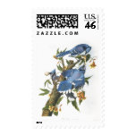 Blue Jay, John James Audubon Stamp