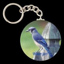 Blue Jay Keychain keychains